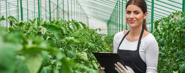 Agricultural Processing – Hi-Tech Systems (HTS)